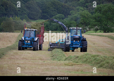 Häckseln Gras in für Milchkühe mit einem 1990 Ford 8830 Powershift und Mengle SH430N, Anhänger von einem 1991 Ford 7810 geschleppt zu Silage Stockfoto