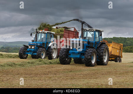 Häckseln von Silageballen verwendet für Milchvieh mit einem 1990 Ford 8830 Powershift Traktor und Mengle SH430 N Häcksler, Trailer von einer 1991 Ford 7810 Stockfoto