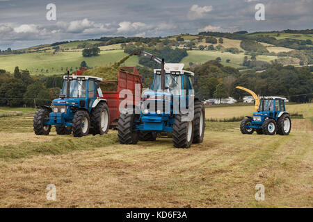 Jahrgang 1990 Ford 8830, 1991 Ford 7810, Generation 3, 1988 Ford 7610, tritt zwei, die Ernte Silage auf einer Molkerei in England verwendet wird Stockfoto