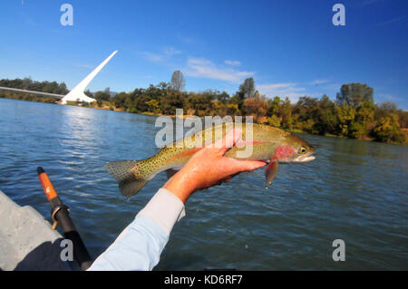 Drift Boote sind in Redding für eine Forelle angeln Schwimmer unten Sacramento River gestartet. Stockfoto