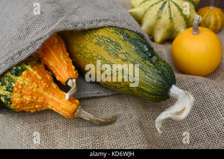 Sortiment von Orange und Grün dekorative Kürbisse auf rauen und hessische Verschütten aus Jute Sack Stockfoto