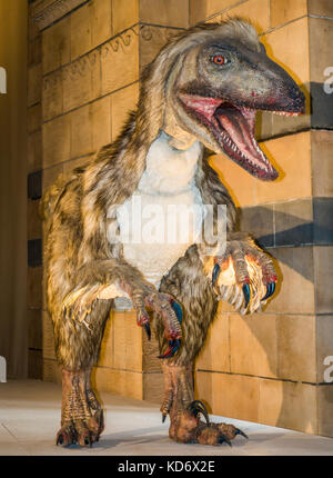 Deinonychus (Bedeutung schreckliche Kralle), gefiederten raptor Dinosaurier. Dies ist ein animatronics Ausstellung im Natural History Museum, London, England, UK. Stockfoto