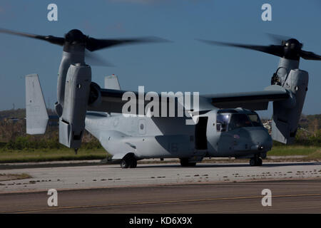 Eine MV-22 Osprey, mit Marine Tiltrotor Squadron (VMM) 264 Vorbereitung von Aguadilla, Puerto Rico, 7. Oktober 2017 übernehmen. Stockfoto