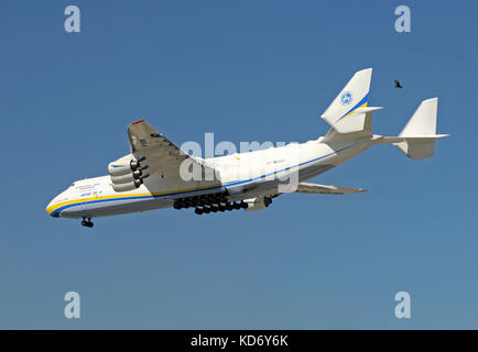 Miami, Florida - 10. Februar 2010: Antonow An-225 Landung am Miami International. Eine-225 mriya ist der größte fliegende Flugzeug der Welt Stockfoto