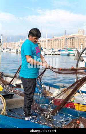 Fischer ziehen die Fische aus dem Netz in Vieux Port (alter Hafen) am Markttag, Marseille, Frankreich Stockfoto