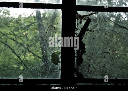 Auf der Suche durch einen schmutzigen gebrochenen Fenster in einem alten Wald Stockfoto