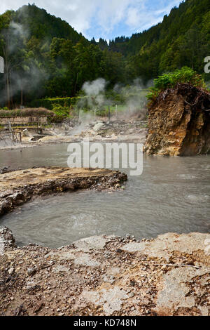 Geothermie auf der Insel Sao Miguel, Azoren Stockfoto