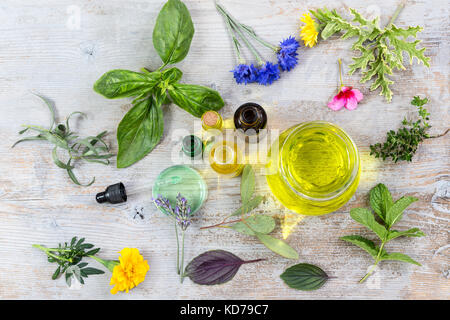 Verschiedene frische Kräuter und ätherische Öle in der Mitte der frischen Heilpflanzen. Vorbereitung der Heilpflanzen für phytotherapyand Gesundheitsförderung auf alten weißen Holz- Stockfoto