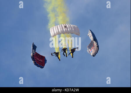 Tiger freefall Fallschirm Team in Aktion Stockfoto