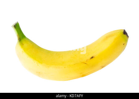 einzige Banane vor weißem Hintergrund Stockfoto