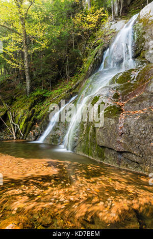 Blätter Wirbeln im grünen Pool unten moss Glen fällt in Granville, Vermont Vermont, entlang der Route 100. Stockfoto