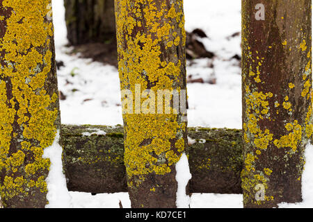 alten Holzzaun Stockfoto