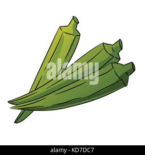 Hand gezeichnete Skizze des grünen Okra oder Lady Finger isoliert auf weißem Hintergrund, Cartoon Vector Illustration. Stock Vektor