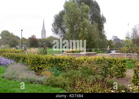 Queen Elizabeth Gärten, Salisbury, Wiltshire, UK, an einem regnerischen Tag mit der Kathedrale Kirchturm in der Ferne. Stockfoto