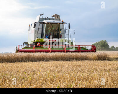 Mähdrescher im Feld Struktur in Niedersachsen in der Nähe von Barum, Elbmarsch, Deutschland. Stockfoto