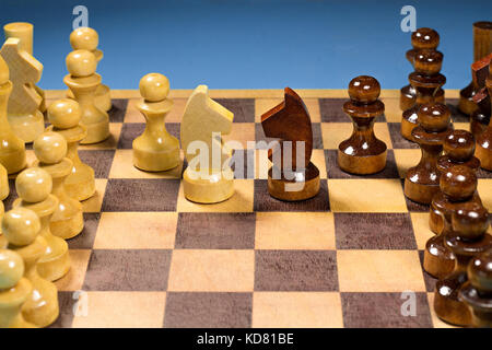 Schwarze und weiße Pferd von Schach setup auf dunklem Hintergrund. Leader und Teamarbeit Konzept für Erfolg. Schach Konzept sparen Sie den König und die Strategie zu speichern. Stockfoto