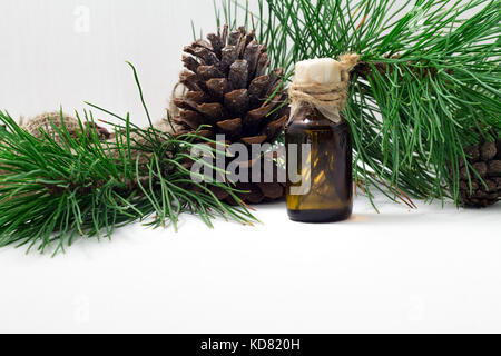 Die Zeder Öl in einer Glasflasche auf einem weißen Holz- Hintergrund. Quelle von essentiellen Fettsäuren für gesunde Ernährung Stockfoto