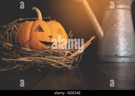 Halloween Stillleben mit Kürbisse auf Holzboden Stockfoto