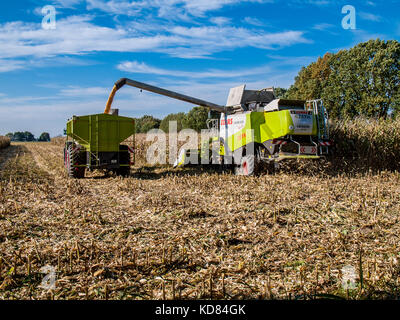 Mähdrescher im Feld Struktur in Niedersachsen in der Nähe von Barum, Elbmarsch, Deutschland. Stockfoto