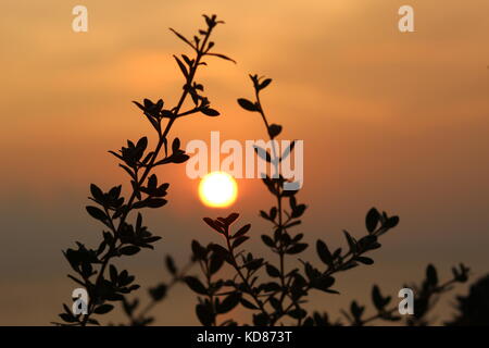 Zentral-sulawesi sun set Stockfoto