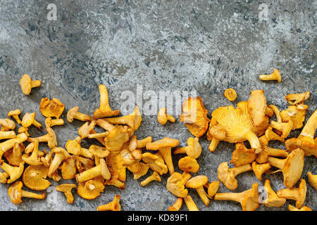 Haufen frisch ungekochtes Wald Pilze Pfifferlinge über grau Textur Hintergrund. Ansicht von oben mit Platz Stockfoto