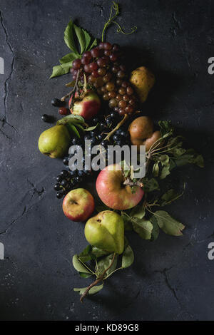 Vielzahl von Herbst Früchte reif organische Äpfel, drei Arten von Trauben, Birnen mit Blättern über dunkle Textur Hintergrund. Ansicht von oben mit dem Raum. Essen backgrou Stockfoto