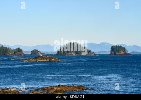 Kleine Inseln an der Westküste von Vancouver Island in den Pacific Rim National Park Reserve, in der Nähe von Ucluetet British Columbia Kanada. Stockfoto