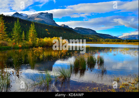 Ein Herbst Landschaft Bild von Roche Miette Berg hoch am Eingang zum Jasper National Park in Alberta, Kanada. Stockfoto