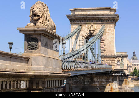 Einer der vier Schutzlöwen der Szechenyi Kettenbrücke - Budapest, Ungarn Stockfoto