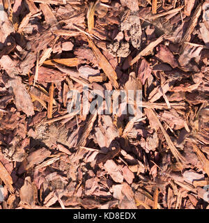 Nahtlose Holzchips mulch auf dem Boden Textur. Hintergrund. Stockfoto
