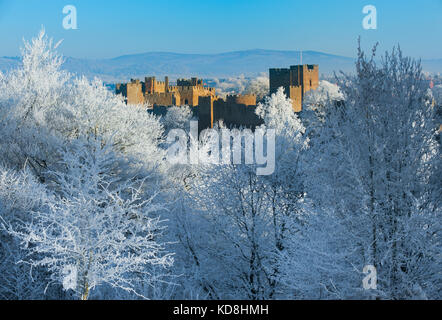 Ludlow Castle durch Raureif im Winter, Shropshire, England umgeben, Großbritannien Stockfoto