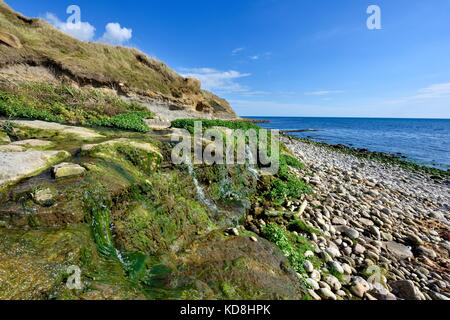 Osmington Mühlen Dorset England UK Stockfoto