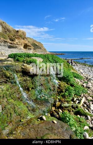 Osmington Mühlen Dorset England UK Stockfoto