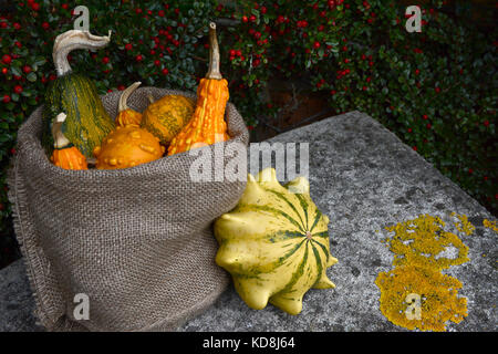 Hessische sack dekorative Kürbisse auf einer Steinbank mit einer Dornenkrone außerhalb. Kopieren Sie Speicherplatz auf Flechten - überdachte Sitz. Stockfoto