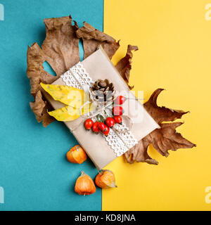 Herbst Blätter, Beeren, Hüften und Tannenzapfen auf einem farbigen Hintergrund. Ein Herbst Hintergrund. Stockfoto