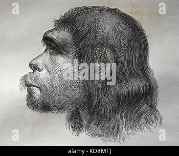 Neanderthal. Archaischen Menschen in der Gattung Homo. Wiederaufbau. Gravur, 1883. Stockfoto