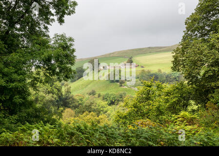 Remote Farm in der Nähe von keld in oberen Swaledale, North Yorkshire, England. Stockfoto