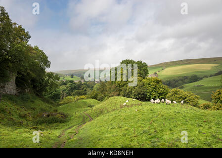 Die Landschaft rund um das Dorf von keld in oberen Swaledale, North Yorkshire, England. Stockfoto