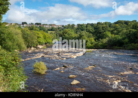 Der Fluss swale in Richmond liegt unterhalb der historischen Stadt Richmond, North Yorkshire, England. Stockfoto