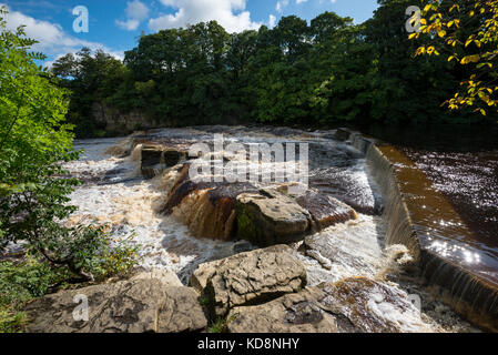 Der Fluss swale in Richmond liegt unterhalb der historischen Stadt Richmond, North Yorkshire, England. Stockfoto