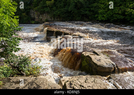 Der Fluss swale in Richmond liegt unterhalb der historischen Stadt Richmond, North Yorkshire, England. Stockfoto