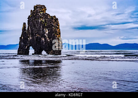 Hvitsrkur Lava Rock Formation und Bögen im Meer im Nordwesten von Island Stockfoto