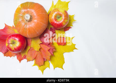 Äpfel, Kürbisse und Blätter auf einem weißen Hintergrund Stockfoto