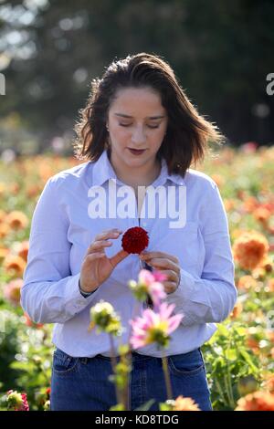 Eine junge Frau zieht eine rote Blume auf der Wiese Stockfoto