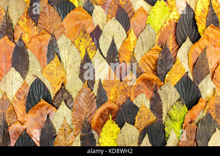 Herbst natürliche Flachbild Hintergrund mit bunten lebendigen Blätter Stockfoto