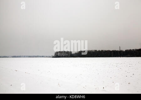 Winterlandschaft, Schneefall Stockfoto