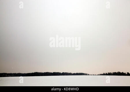 Winterlandschaft, Schneefall Stockfoto