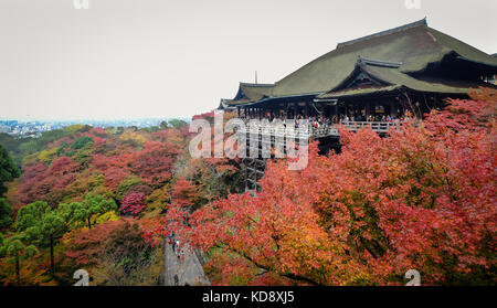 Kyoto, Japan - 20.November 2016. Aula der Kiyomizu-dera im Herbst in Kyoto, Japan. Der Tempel ist Teil der Historisches Denkmal des alten Kyoto uneso Stockfoto