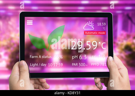 Smart Landwirtschaft futuristische Indoor Anbau und Photoperiodism Konzept. Hand mit Tablette zur Überwachung der künstlichen LED-Lichtquelle in einer verwendet e Stockfoto