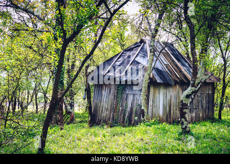 Garten im Hinterhof mit kleinen Schuppen und Bäume Stockfoto